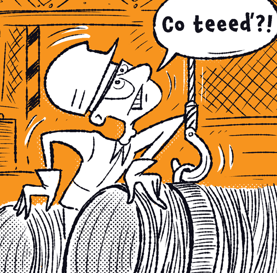 ilustrace Petra Žabová
