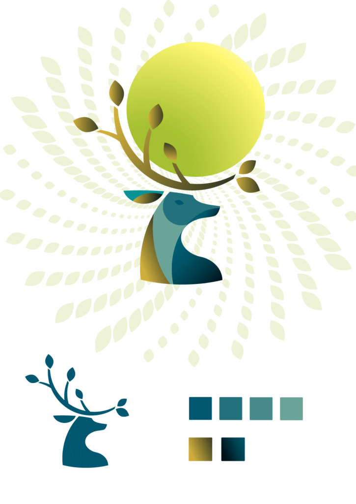 ilustrace Petra Žabová