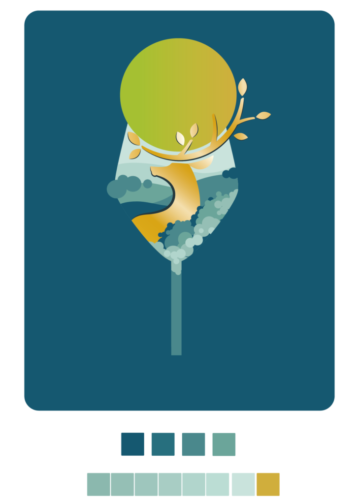 ilustrace Petra Žabová