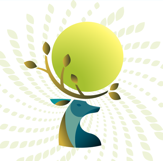 ilustrace - illustrator